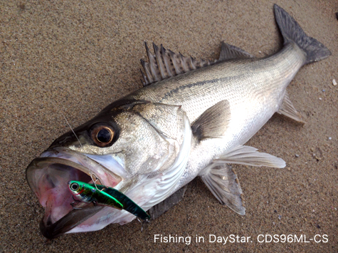 Fishing in DayStar. CDS96ML-CS