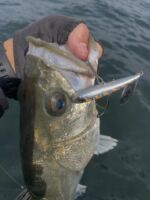 COREMAN - コアマン公式サイト | デイゲームはコアマンだ。 | コアマン